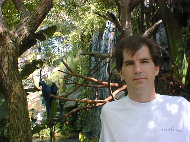 BrianBlueParrots02.jpg