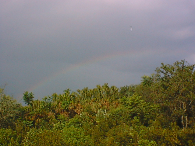 Rainbow on Safari.jpg