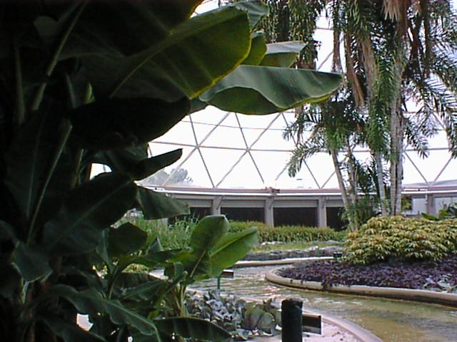 Inside greenhouse2.jpg