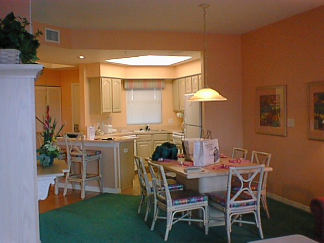dining and kitchen from den.jpg