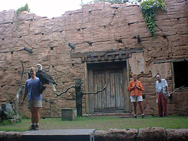 Bird Show 5.jpg