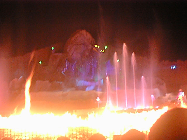 Fantasmic 5.jpg