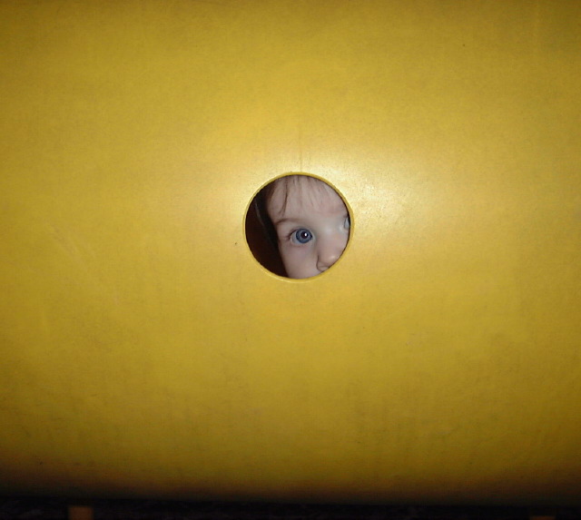 peek a boo 1.jpg