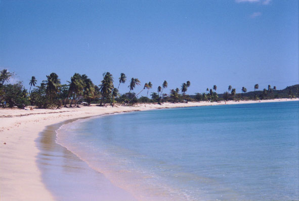Vieques Island 1.jpg