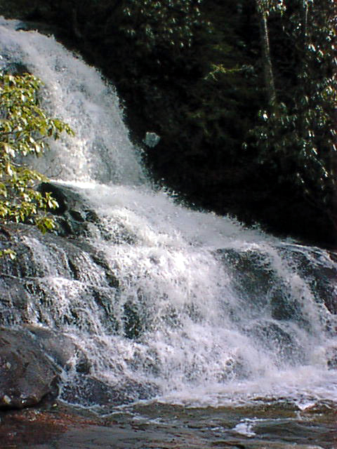 Laurel Falls 1.jpg