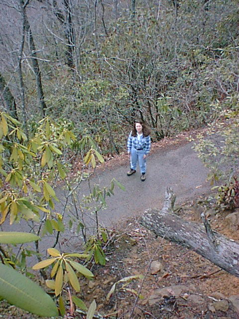 The trail to Laurel Falls.jpg