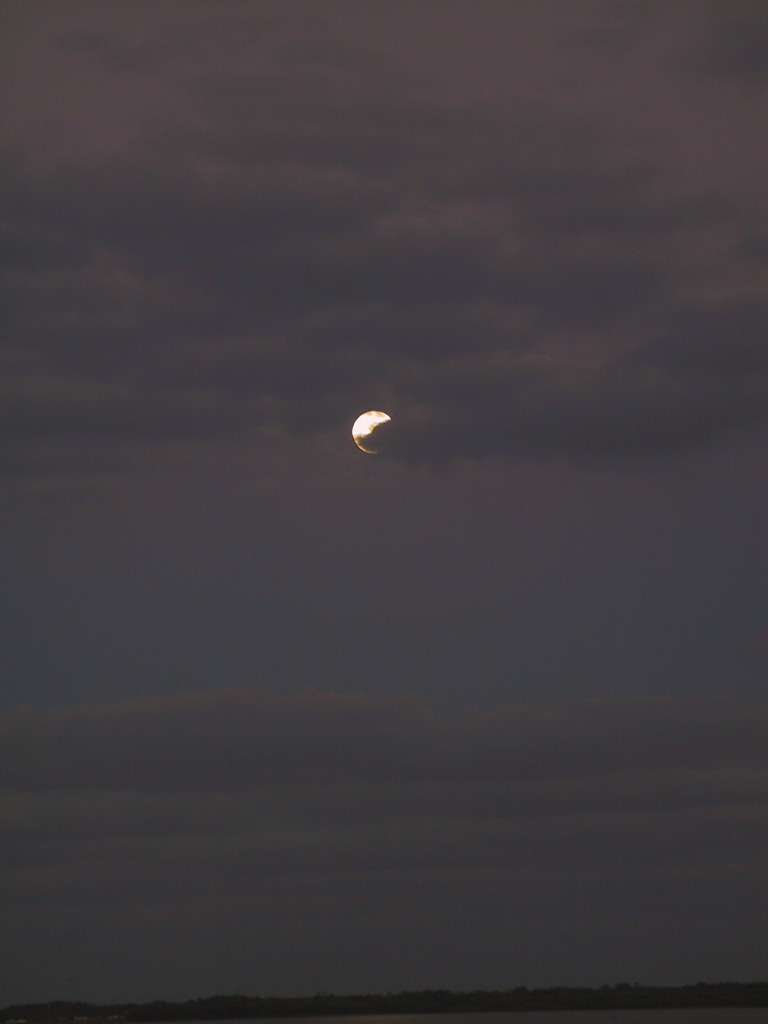 MoonRising.JPG