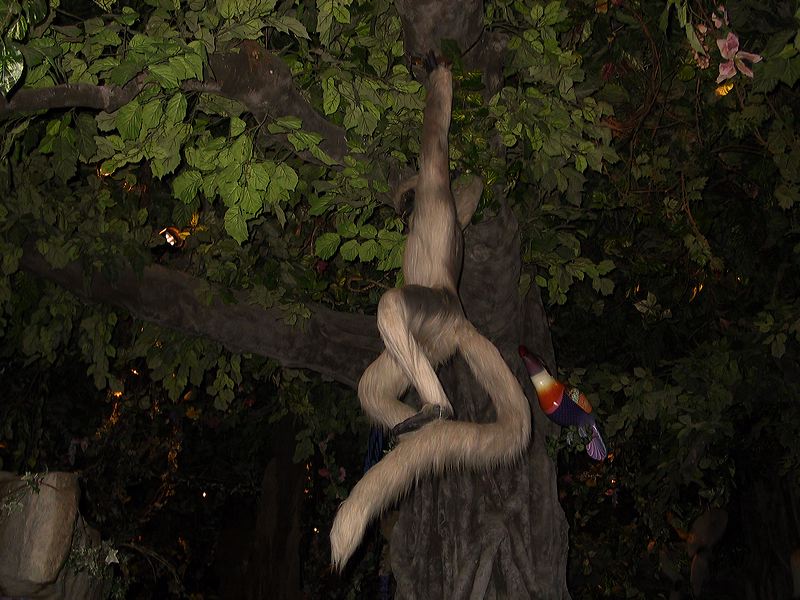 rainforest_cafe.jpg