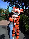 destanie_and_tigger