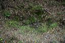 img_0097