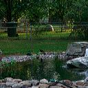 img_1696