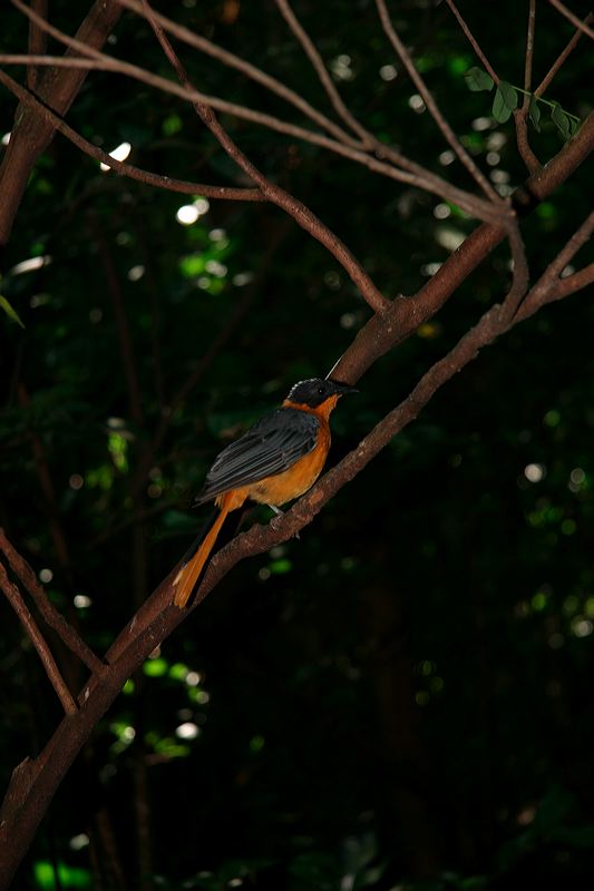 img_4654.jpg